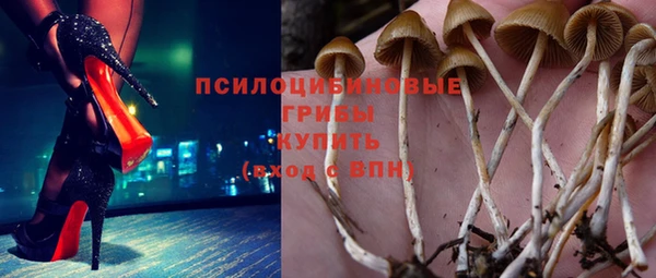 СК Алексеевка