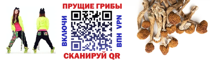 сколько стоит  Рыбное  Галлюциногенные грибы Magic Shrooms 